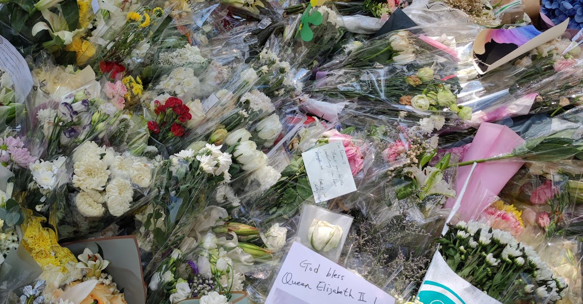 Detalii despre pregătirile funeraliilor lui Ion Iliescu, în contextul stării sale de sănătate precare