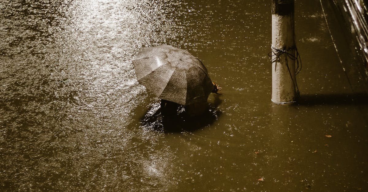 Cluj-Napoca sub ape: ploaia torențială transformă străzile în râuri