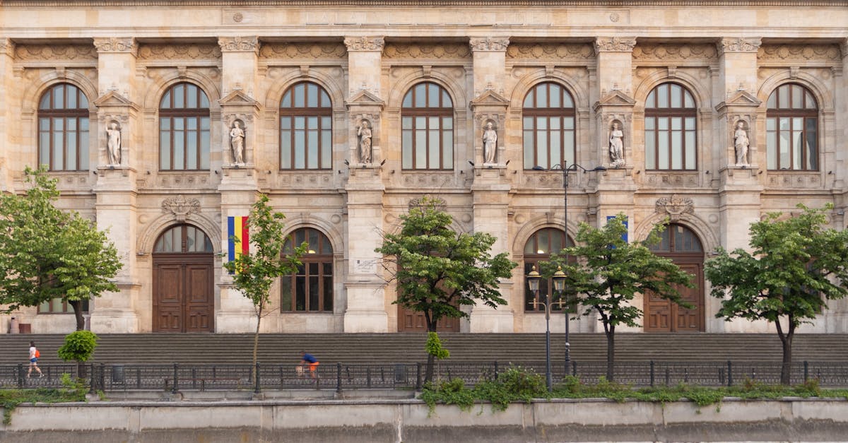 Senatorul Niculina Stelea denunță incompetența Ministerului Culturii