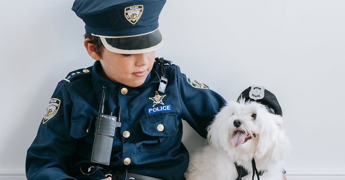 Violența domestică în Mediaș: intervenții rapide ale poliției și măsuri de protecție
