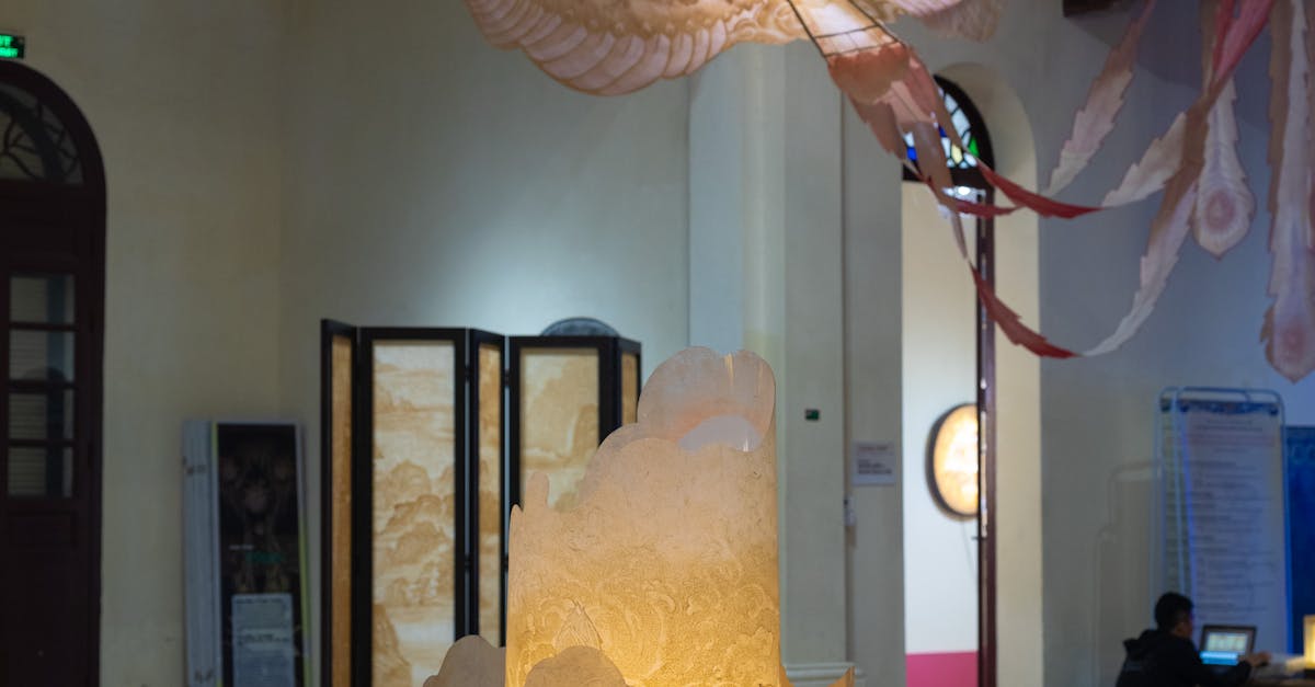 Expoziție captivantă a artistei Patricia Goodrich la Târgu Jiu