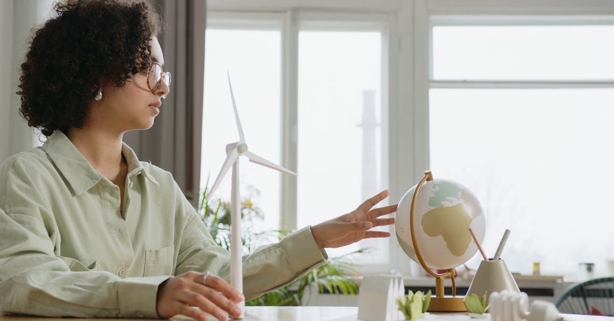 Proiectul hidroenergetic de pe pârâul Porcului: o soluție ecologică pentru energia verde în România