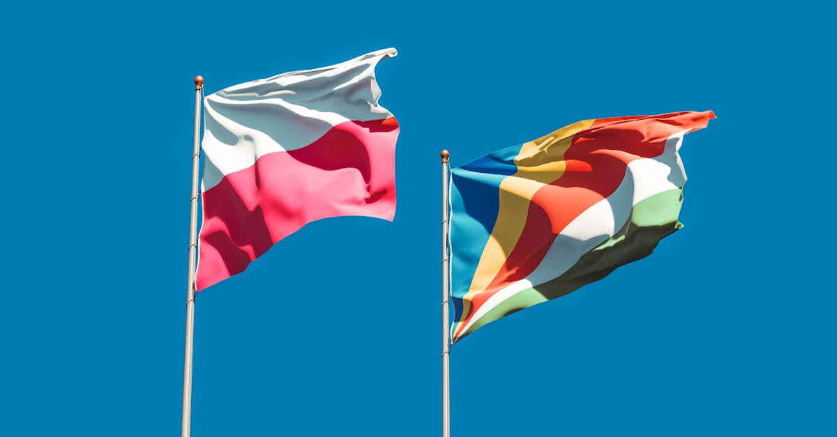 Angajați din diverse domenii, detașați în diplomația română