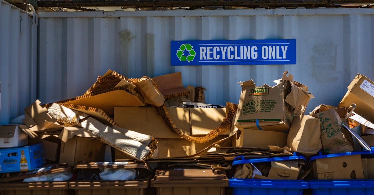 Bistrița își reia colectarea deșeurilor reciclabile pe 6 august