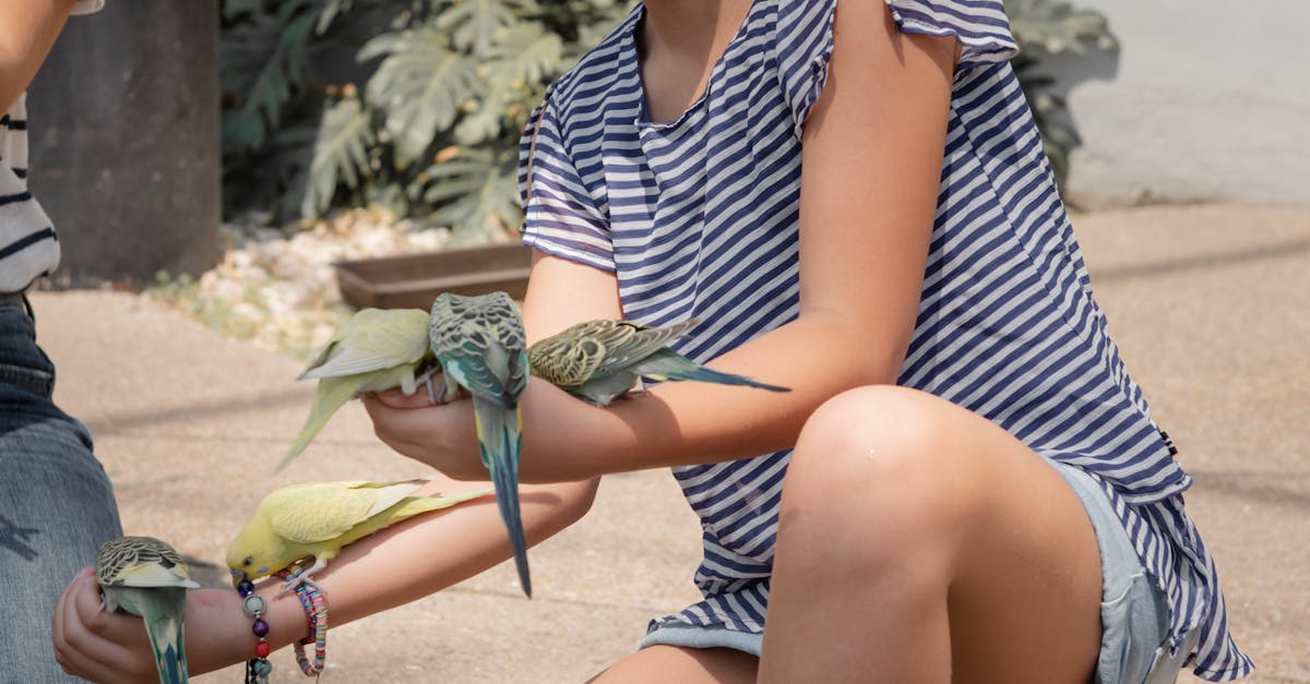 Brașov celebrează Ziua Internațională a Grădinilor Zoologice cu activități interactive și intrare gratuită pentru copii