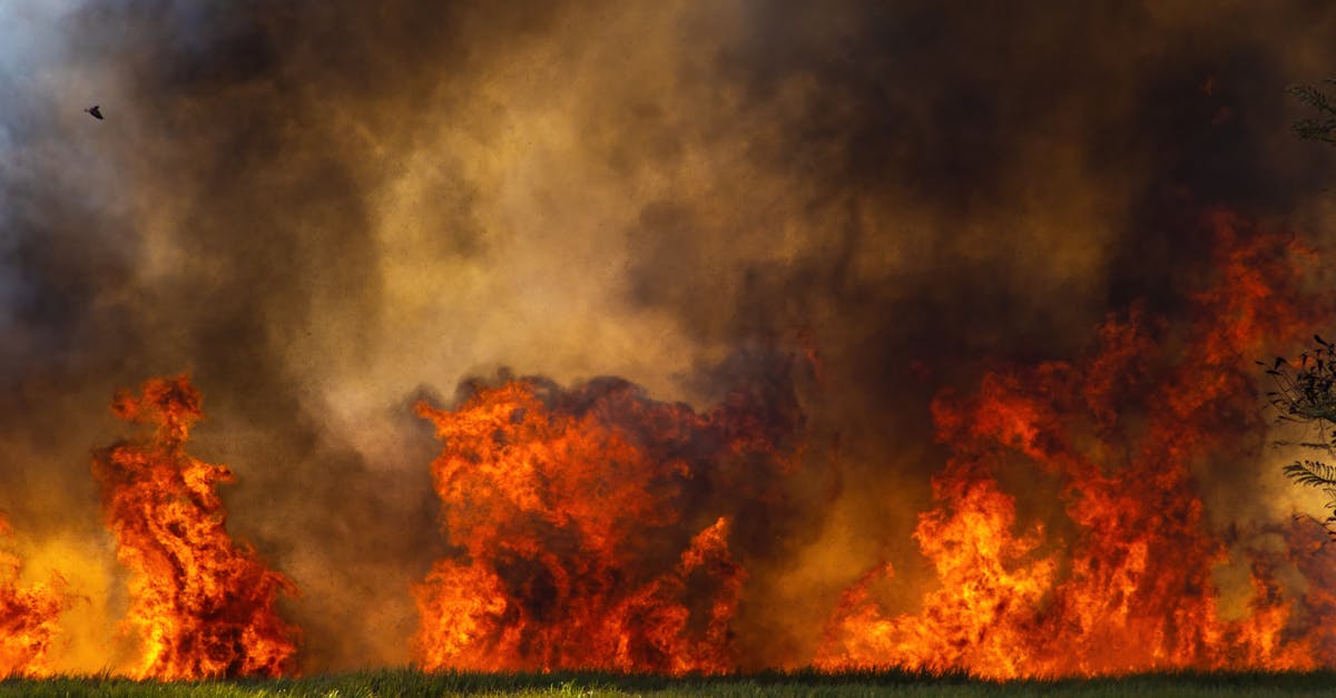 Incendiu devastator la un fânar în comuna Izvoru: pompierii intervin rapid