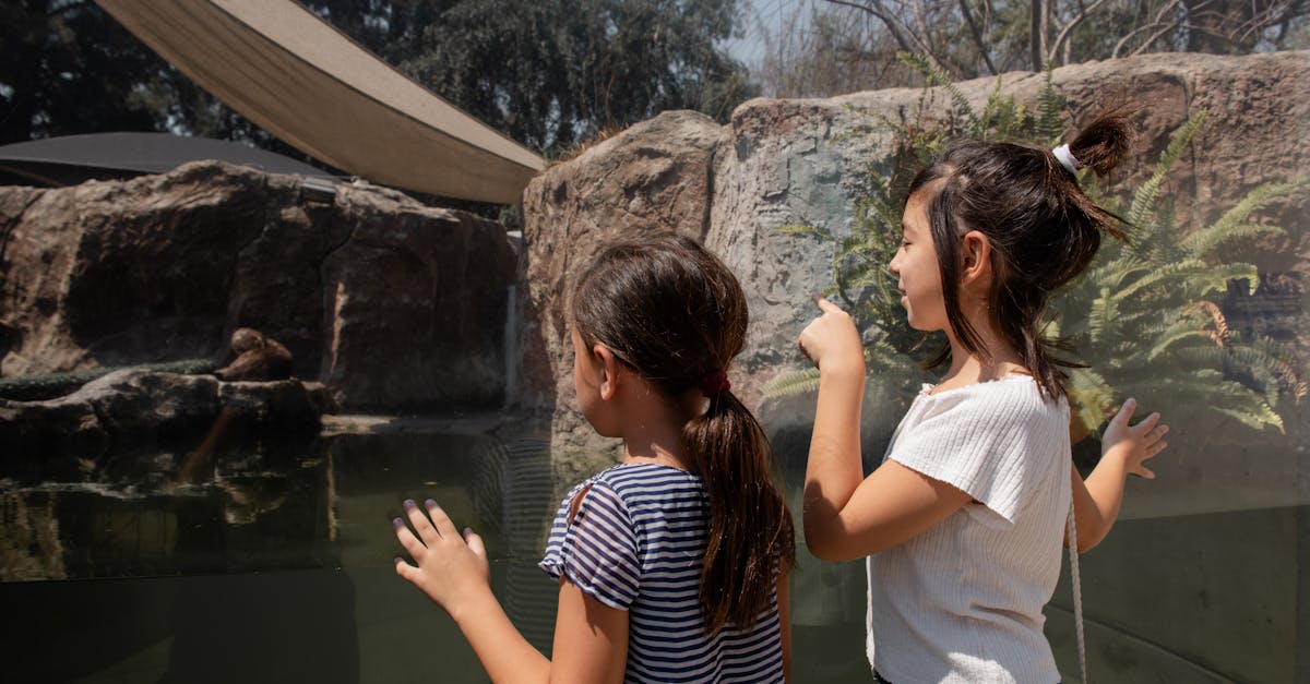 Activități interactive gratuite de Ziua Internațională a Grădinilor Zoologice la Brașov
