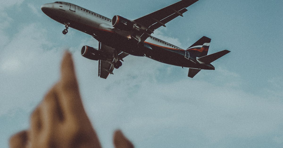 Cum influențează algoritmii prețul biletelor de avion la Wizz Air
