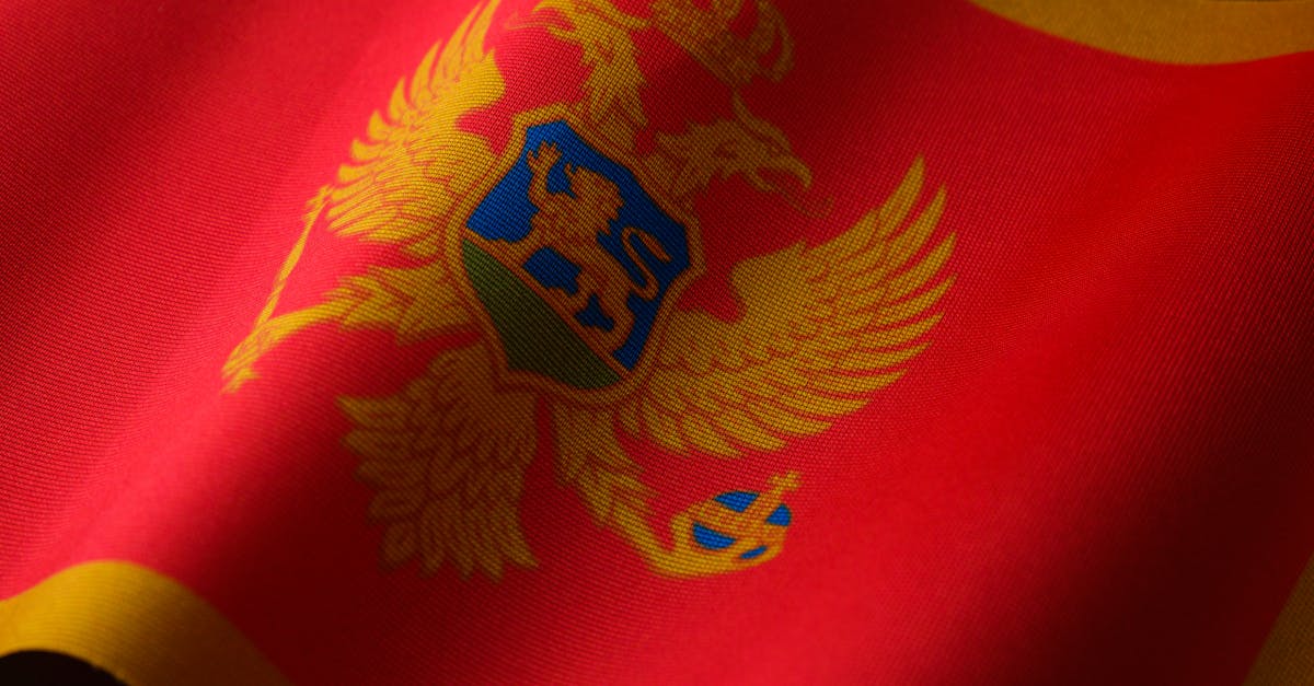 Ion Iliescu va fi omagiat cu funeralii de stat: 7 august, zi de doliu național