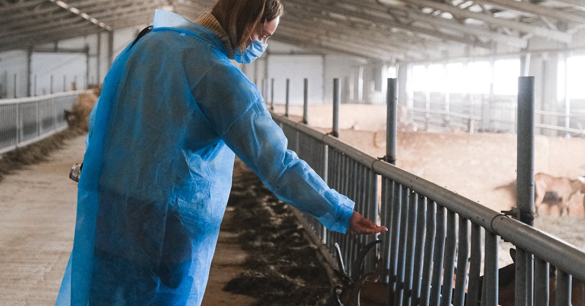 Sprijinul guvernamental pentru agricultura din Satu Mare, evidențiat de vizita ministrului Barbu