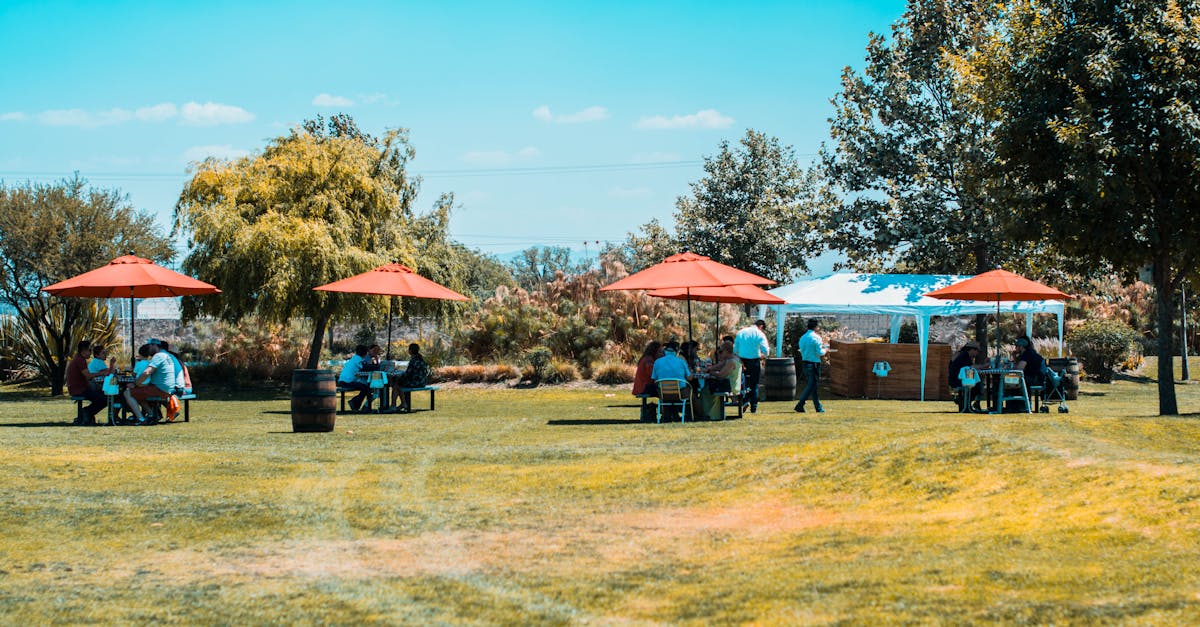 Nou spațiu pentru picnic în Poiana Galdei: foișoare și grătare pentru comunitate și turiști