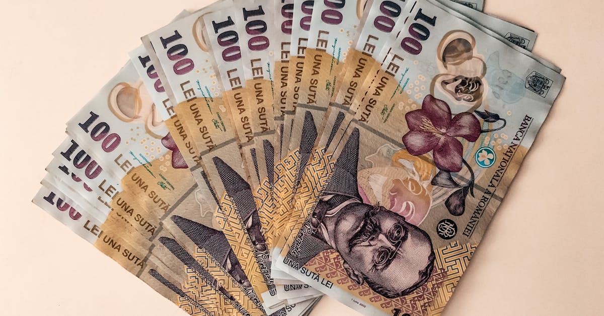 Top 100 companii din Bistrița-Năsăud: cine se află în fruntea clasamentului?