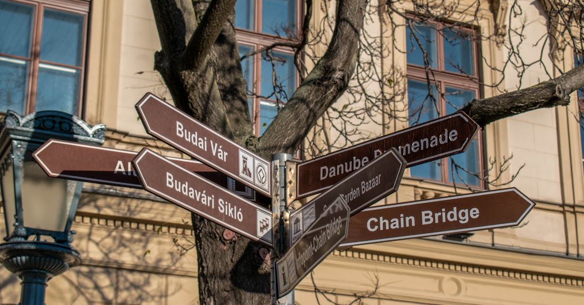 Brașov, o destinație atractivă pentru turiștii chinezi în Europa