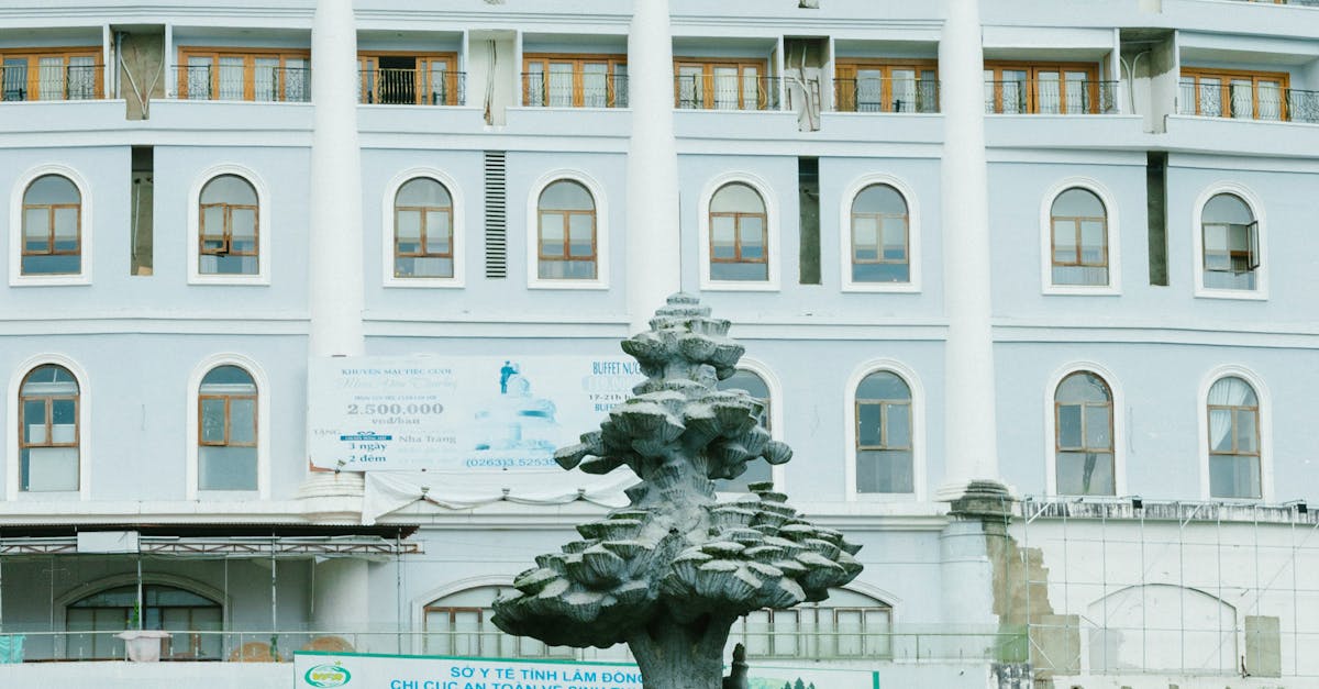 Transformarea Grădinii de vară Patria: Craiova demarează lucrări de modernizare
