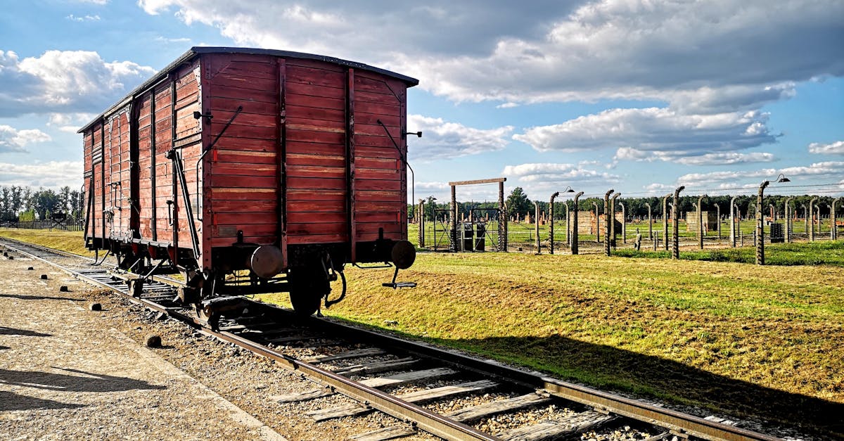 Expoziție inedită la Satu Mare: Macheta lagărului Auschwitz, un omagiu al istoriei