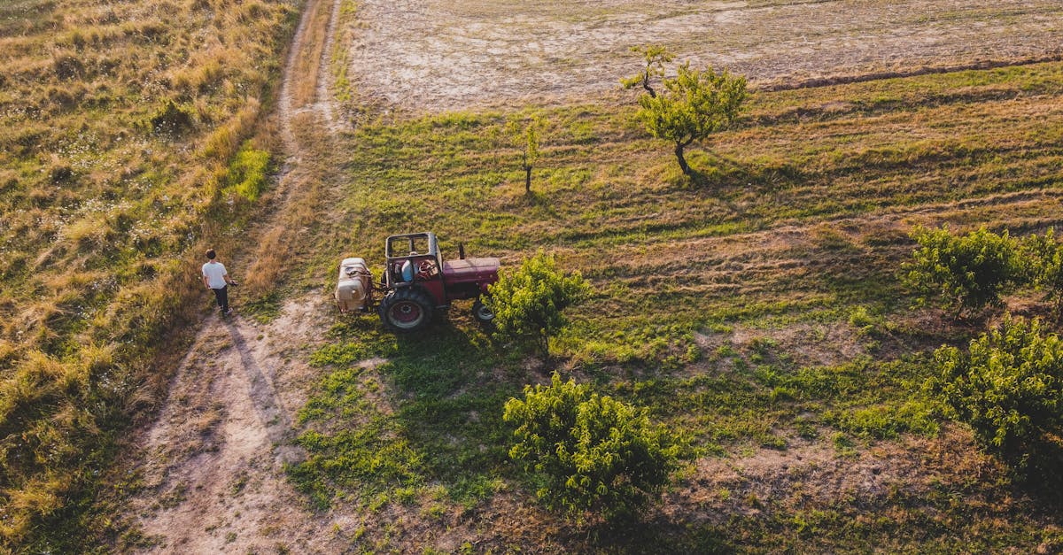 Accident grav în Bihor: bărbat fără permis și sub influența alcoolului la volanul unui tractor