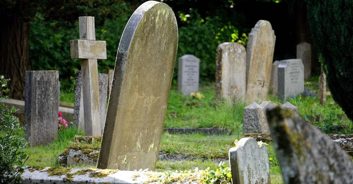 Controverse la funeraliile lui Ion Iliescu: Imnul golanilor răsună
