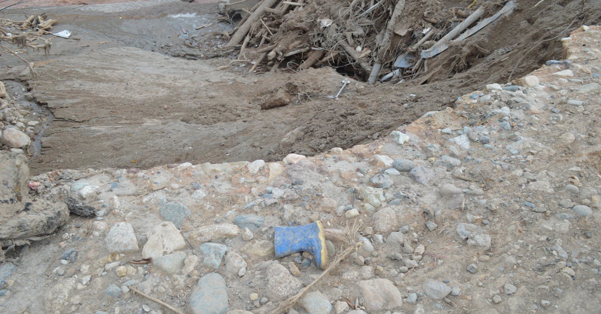 Lucrări de curățare în comuna Borca și pe Lacul Izvorul Muntelui, după viituri devastatoare