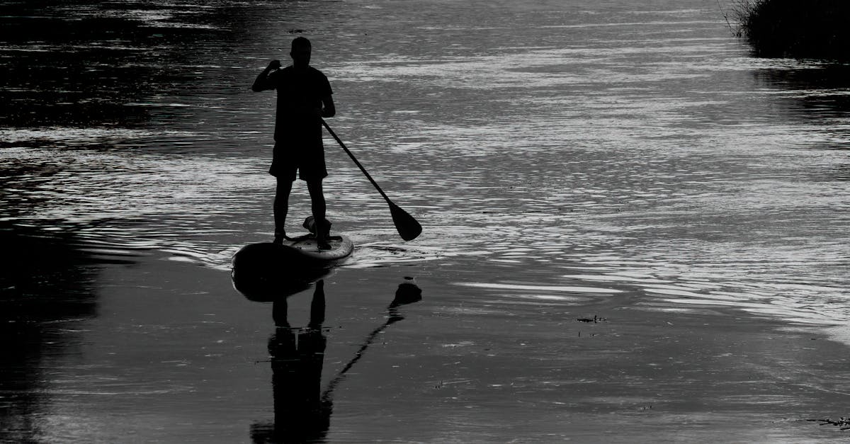 Experiențe de neuitat pe râul Mureș cu Stand Up Paddle