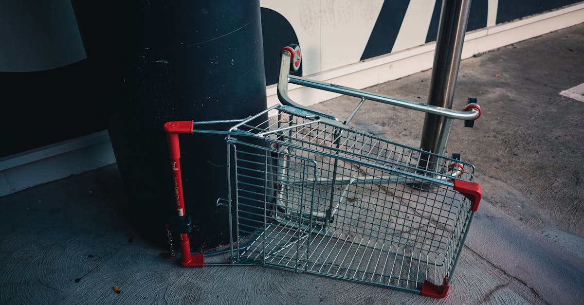 Trei tineri din Cluj surprinși în timp ce fură un cărucior de la Lidl