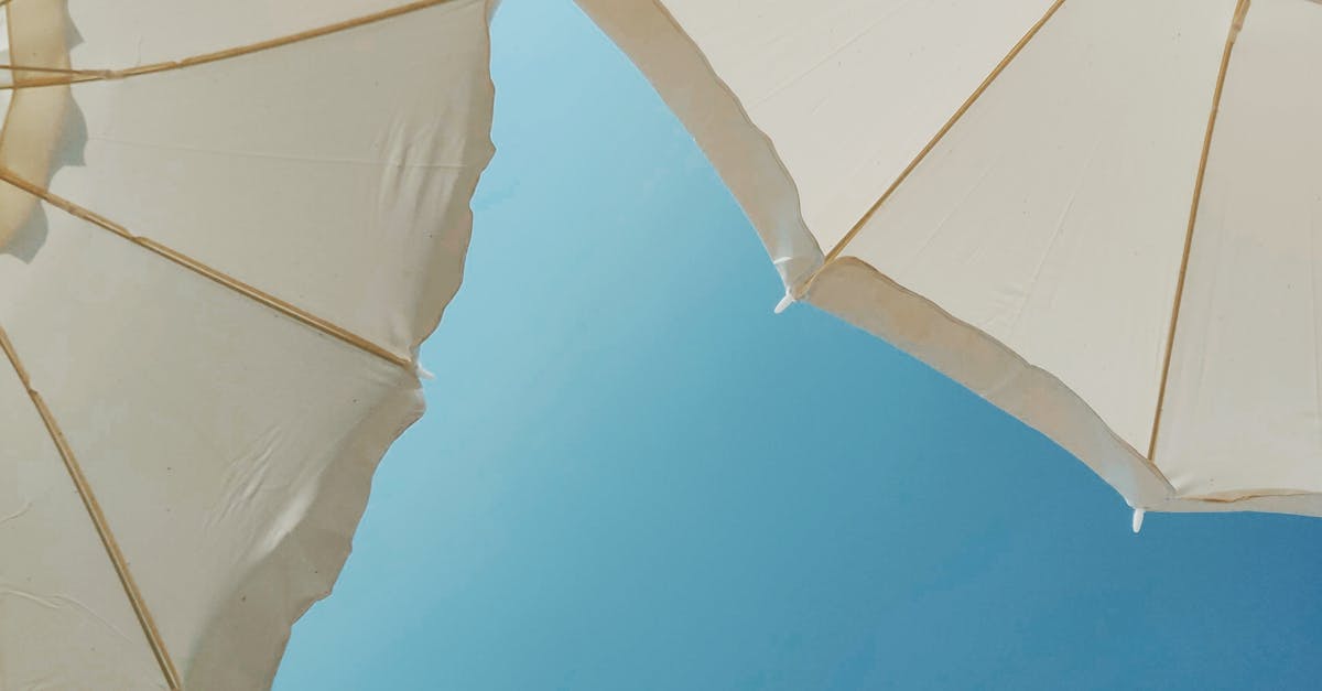 Weekend canicular în Alba: temperaturi record de până la 36 de grade Celsius
