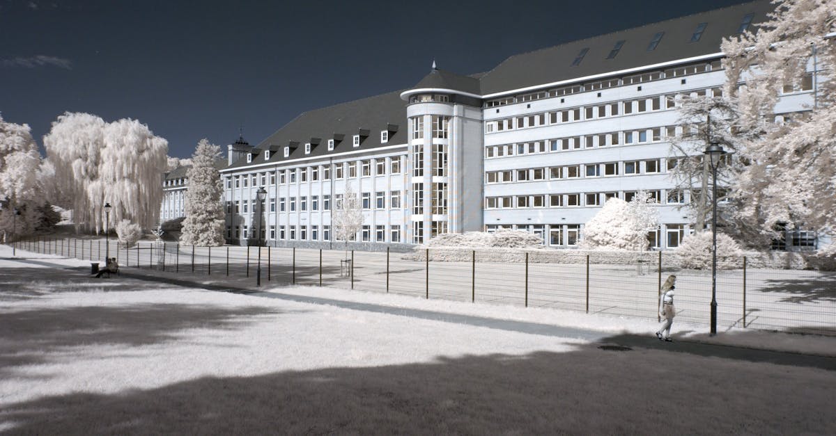 Reorganizarea administrativă a Școlii Gimnaziale Nr. 2 Titu-Târg: clarificări din partea primarului
