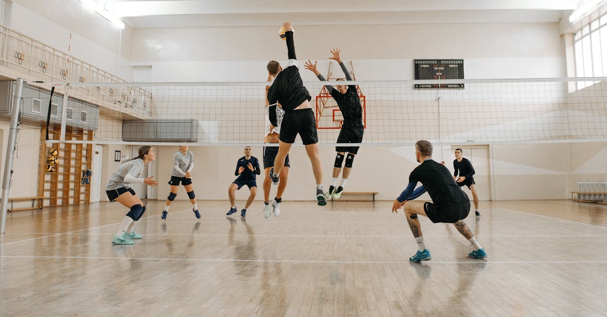 Corona Brașov își întărește echipa de volei feminin cu noi transferuri