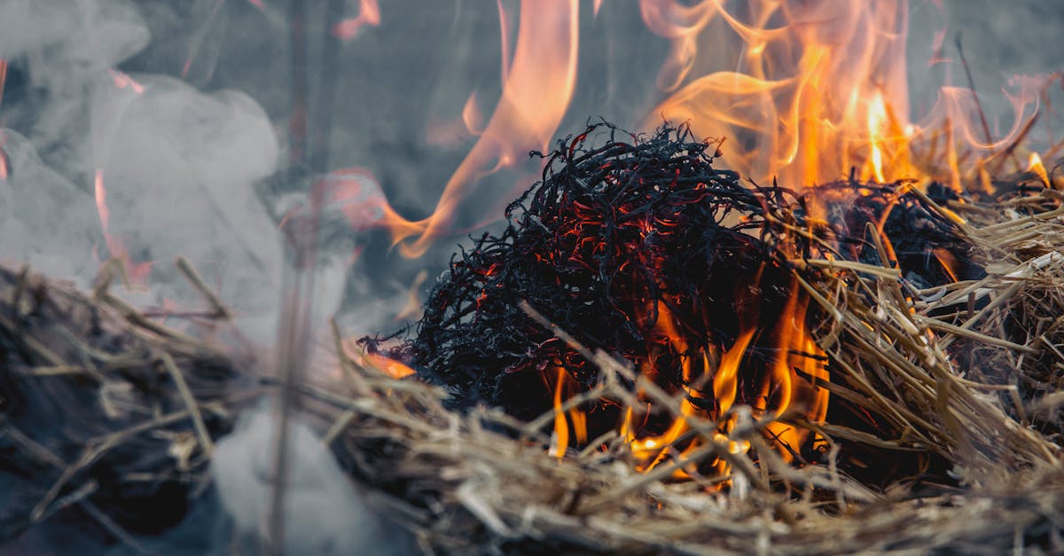 Incendii devastatoare în Timiș: 25 de focuri în doar o săptămână