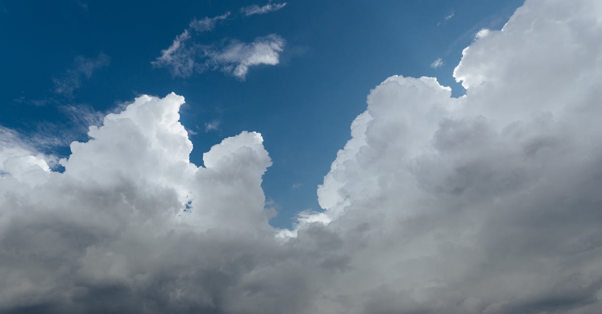 Caniculă extremă în Arad: temperaturi de până la 39 de grade