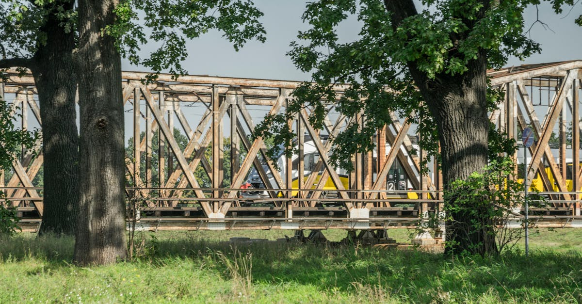 Un accident feroviar incredibil: un șofer scapă fără zgârietură după o coliziune cu trenul