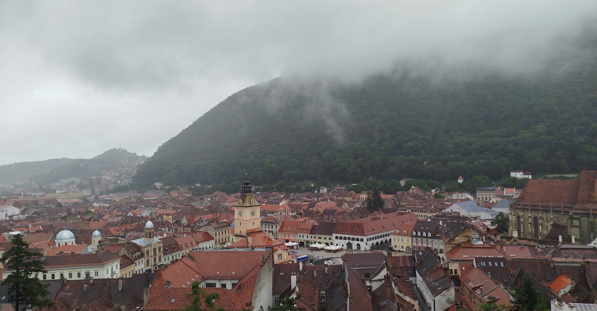 Studenți români și germani explorează meșteșugurile tradiționale la Apold