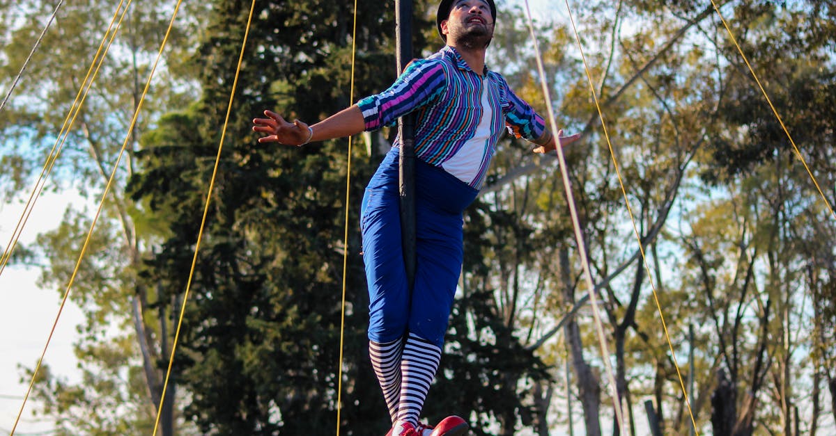 Circul Internațional și Circul Castillo: o premieră captivantă la Sibiu