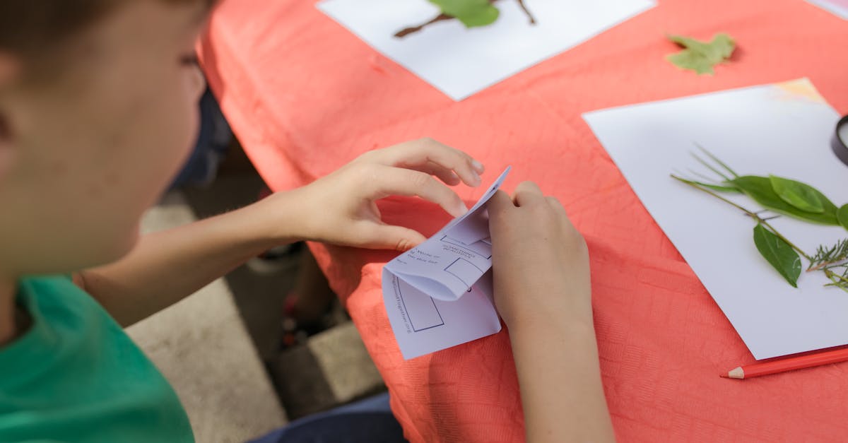 Descoperă două oportunități educaționale gratuite pentru copii în Caraș-Severin