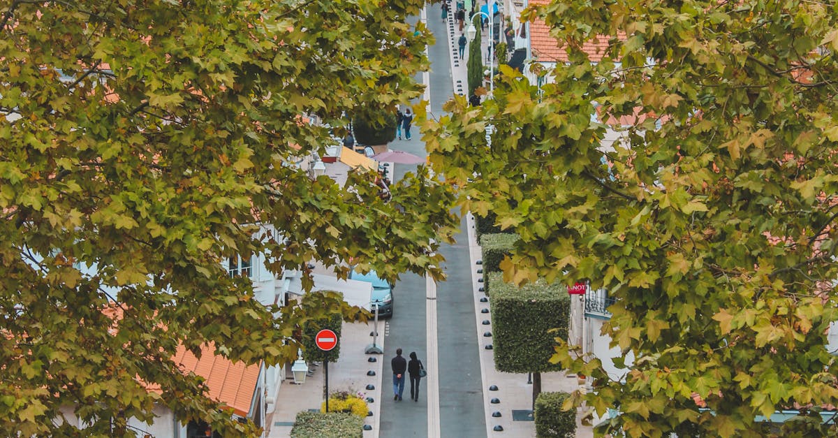Primăria Bistrița introduce o aplicație pentru licitațiile locurilor de parcare