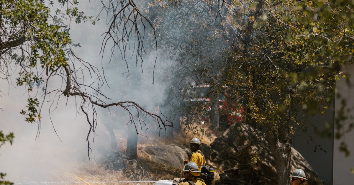 Incendiu devastator pe Muntele Vezuviu: traseele închise pentru vizitatori