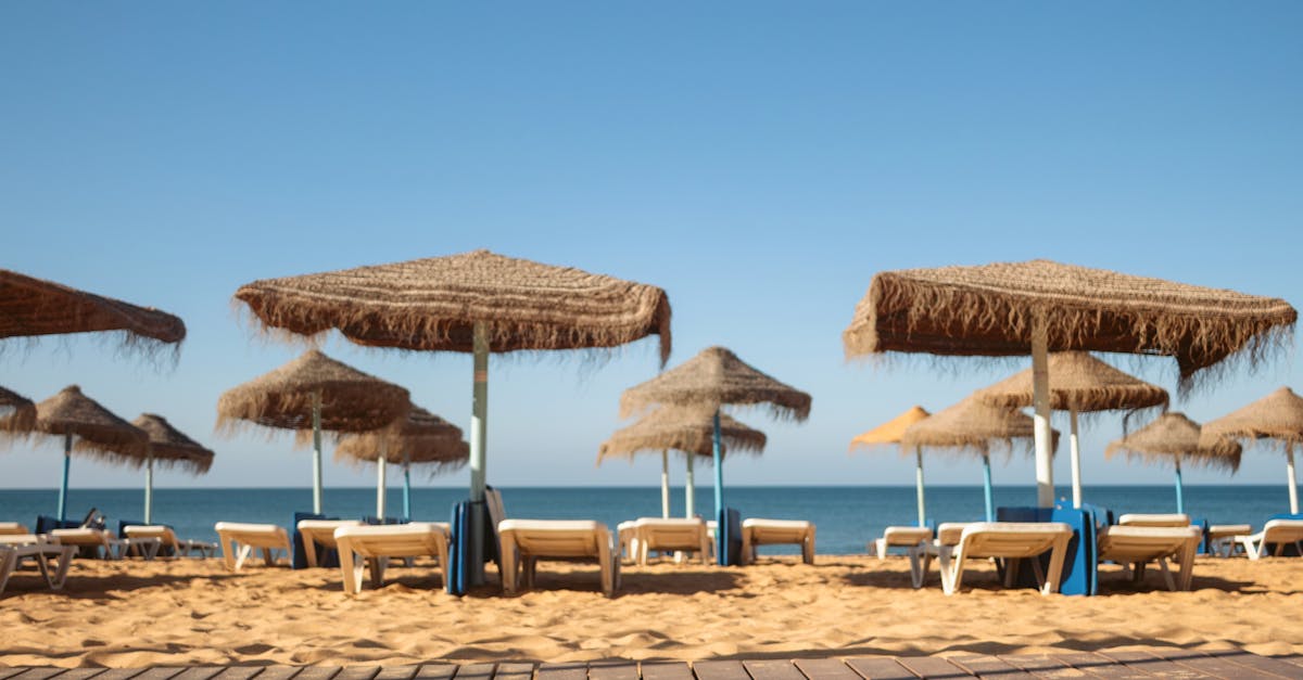 Controalele ANPC pe litoral: amenzi și deficiențe grave descoperite în turism