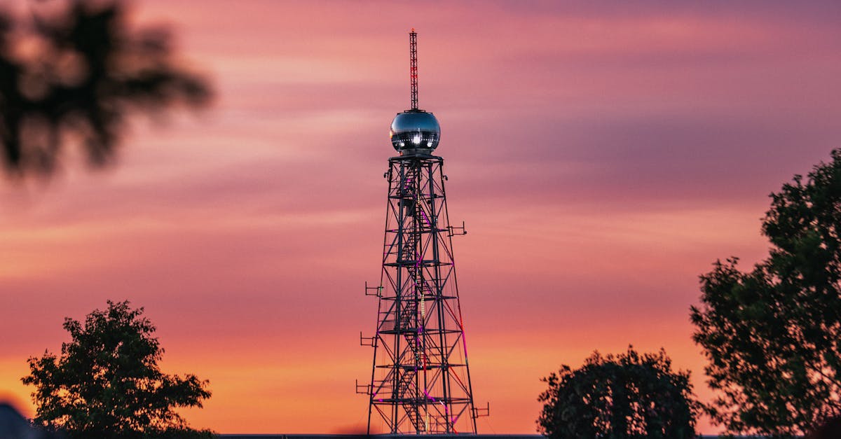 Atmosferă de neuitat la Summer Well: muzica și distracția au continuat până dimineața