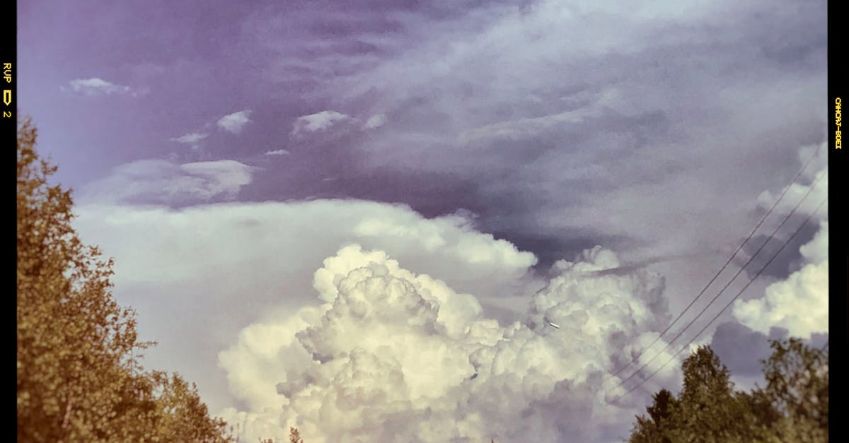Canicula revine în Banat: avertizări meteo pentru următoarele zile