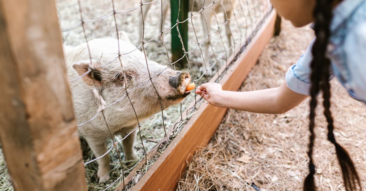 Poliția din Brașov sărbătorește Ziua Internațională a Grădinilor Zoologice