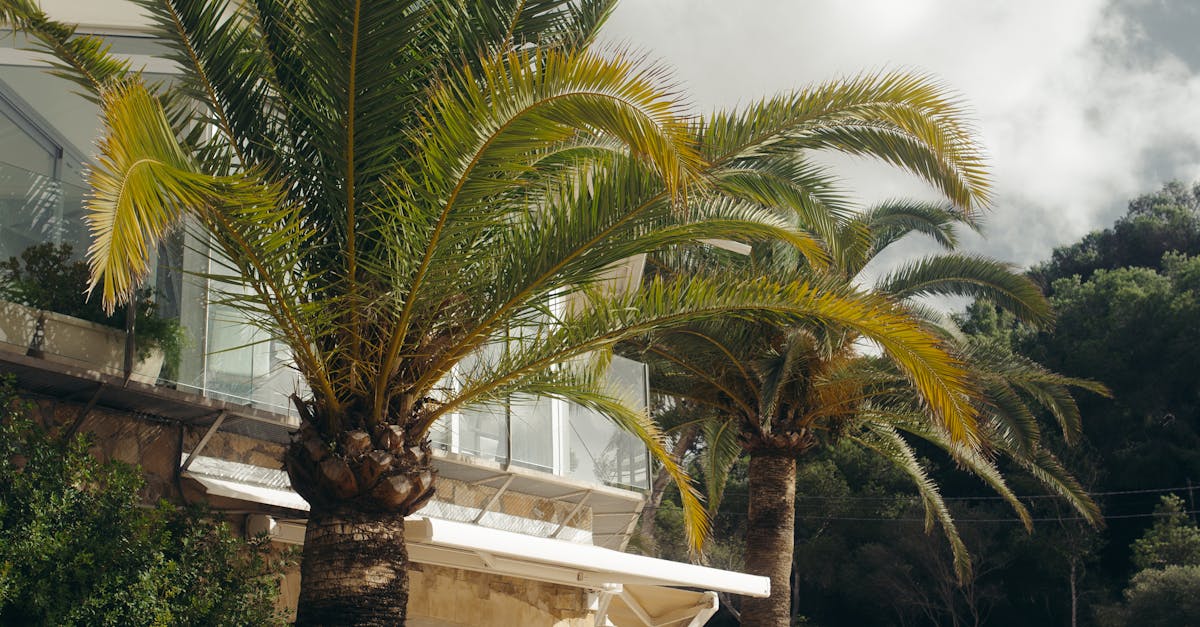 Descoperă Insulele Baleare: vacanță de vis în Mallorca, Ibiza, Menorca și Formentera