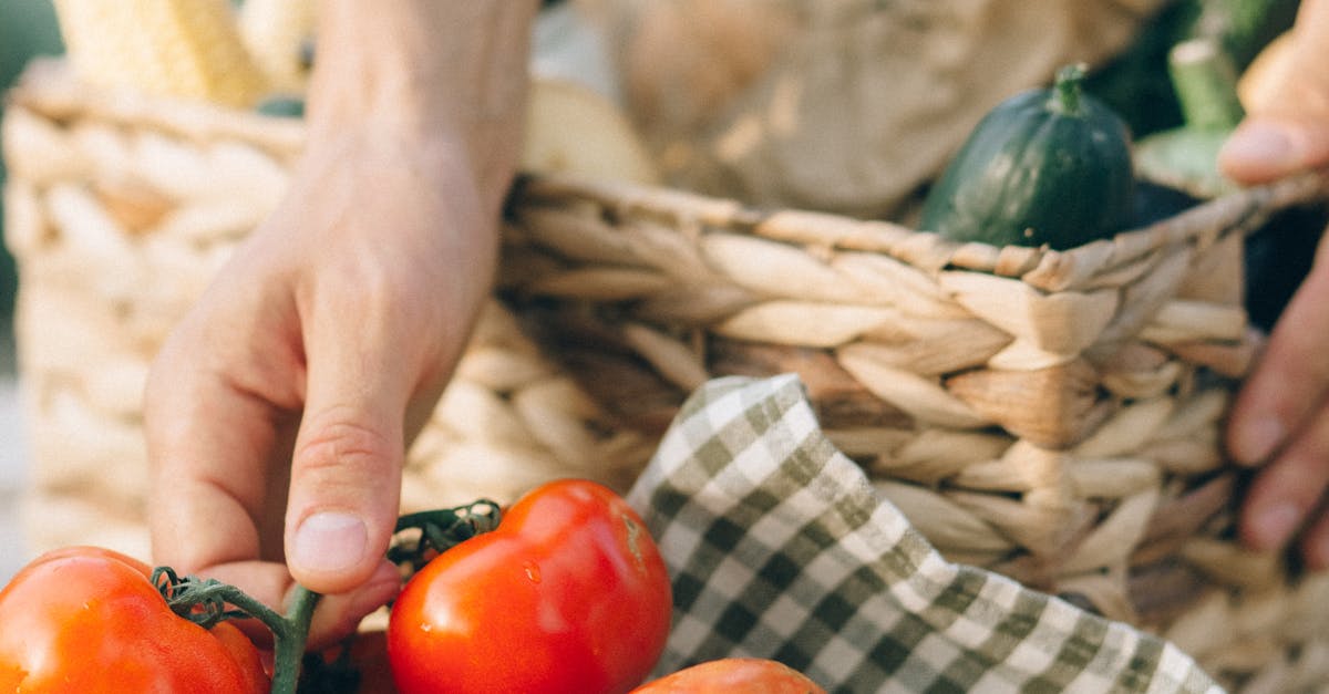 Ghidul complet pentru alegerea și cultivarea roșiilor delicioase