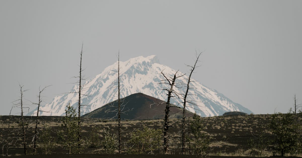 Un nou cutremur puternic în Rusia, la câteva zile după un seism devastator