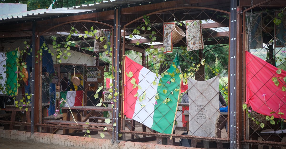 Tineri Junior Ranger din Retezat, experiență unică în Italia