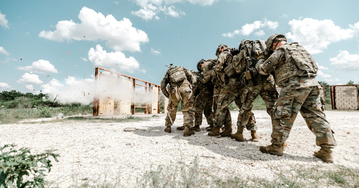 Exerciții militare cu explozii controlate programate la Bârcea Mică