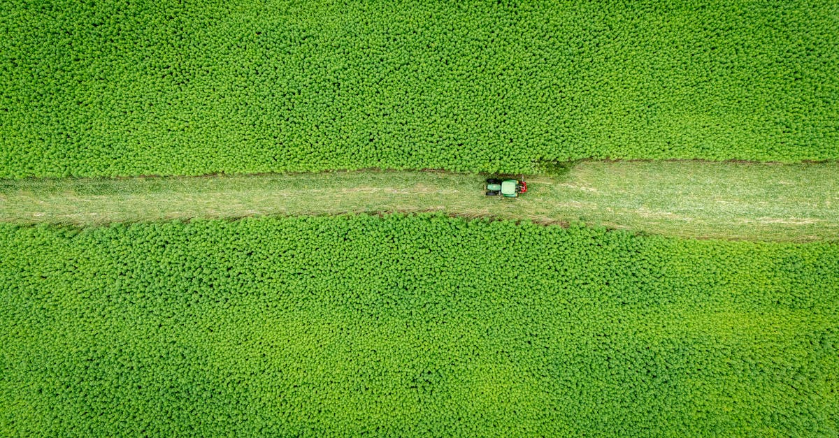 Liceul Tehnologic Borcea își îmbunătățește dotările cu un tractor modern