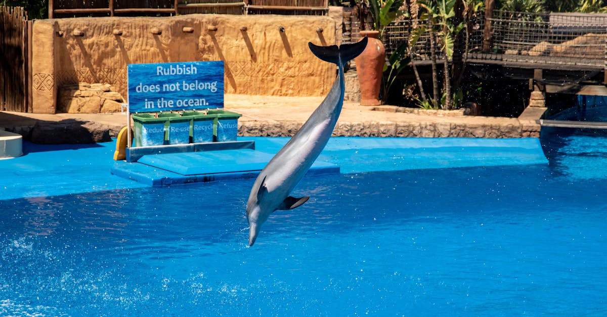 Transformări recente la Zoo Brașov pentru o vizită mai plăcută