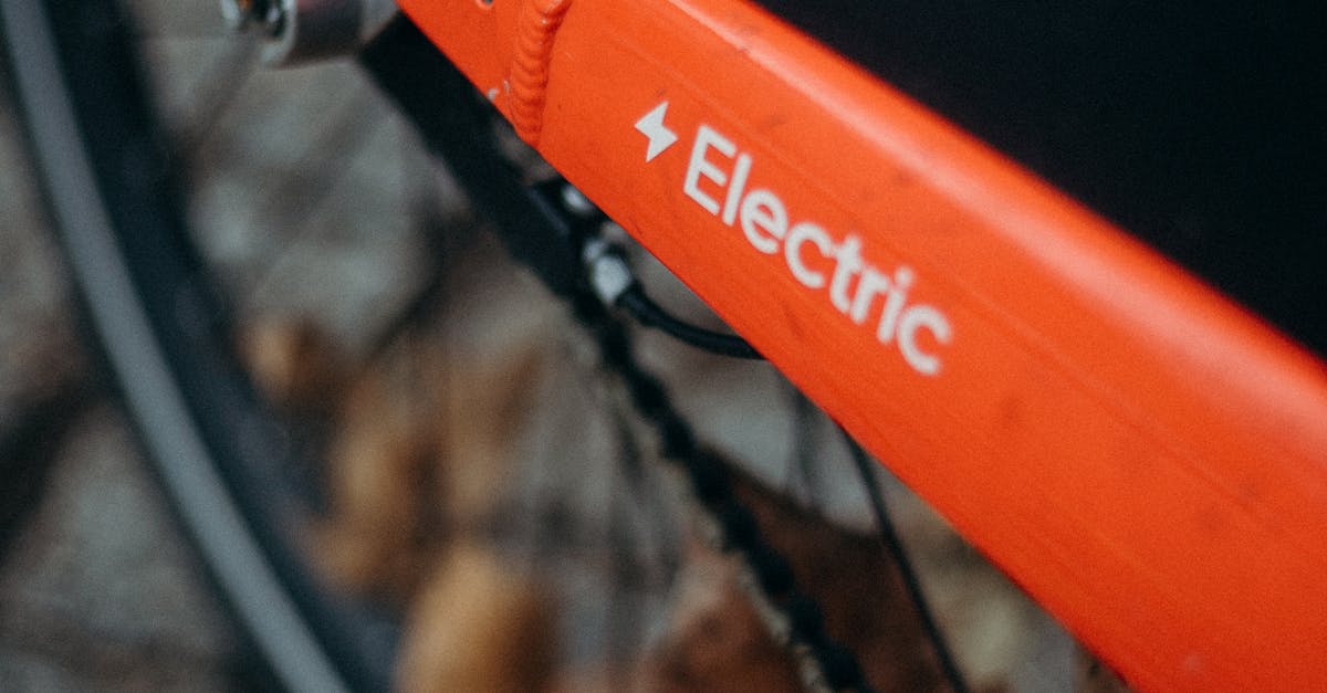 Sepsi Bike: Un an de succes în promovarea transportului ecologic în Sfântu Gheorghe
