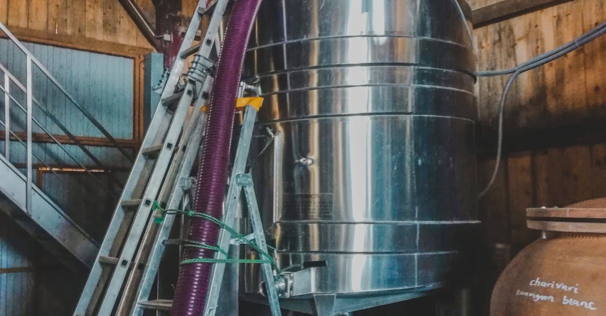 Franța preconizează o creștere semnificativă a producției de vin în 2025
