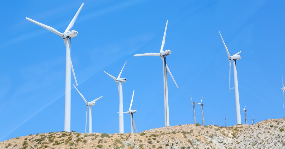 Un parc eolian impresionant se ridică în Galați, furnizând energie pentru mii de locuințe