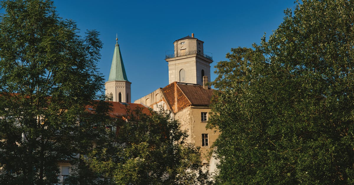 Germania se pregătește pentru temperaturi extreme, aproape de 40 de grade Celsius